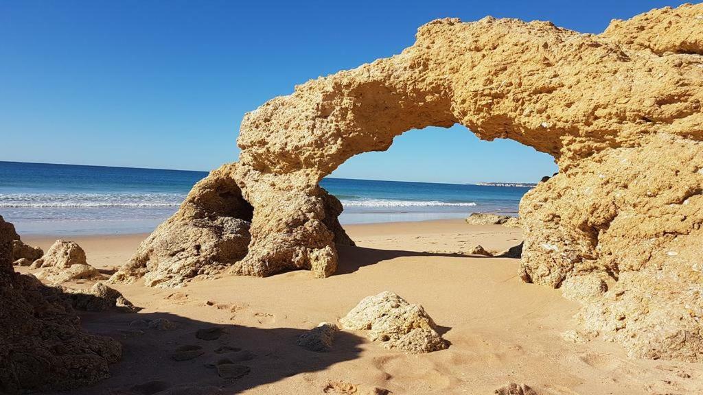 Beach Choro * Albufeira